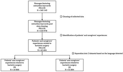 Patients’ and caregivers’ perceptions of bariatric surgery: A France and United States comparative infodemiology study using social media data mining